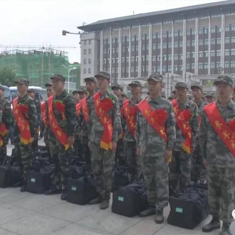 枞阳县最新新闻报道发布