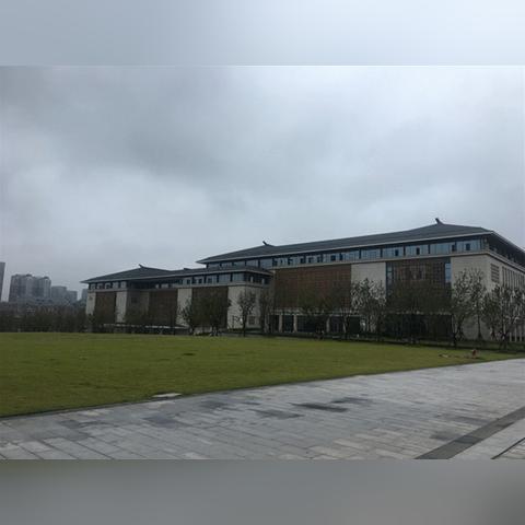 宜宾临港大学城最新动态更新