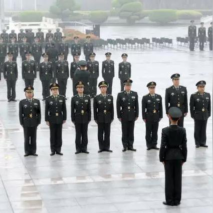 揭秘31集团军最新动态，深度报道传递最新消息
