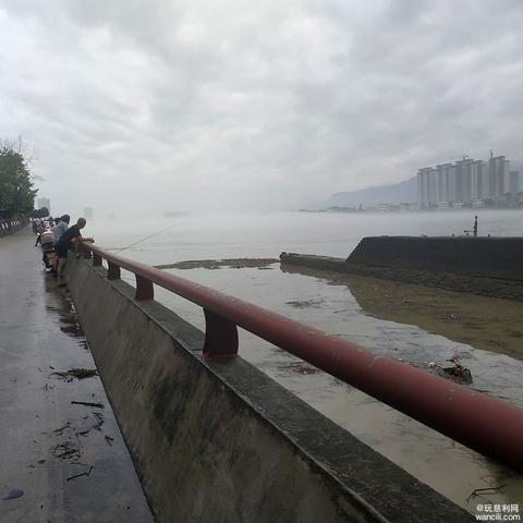 钩鱼发烧友最新版深度体验解析