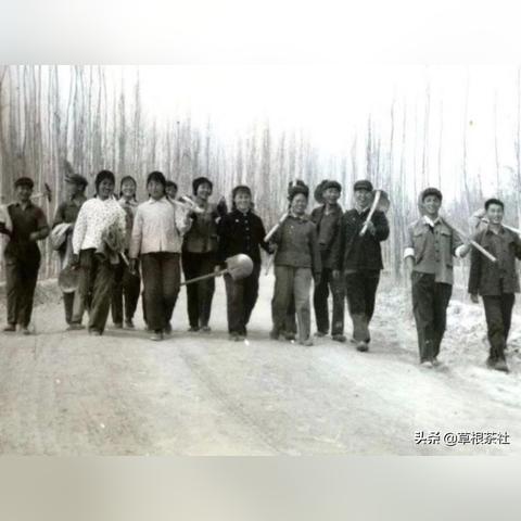 农一师十三团最新动态报道