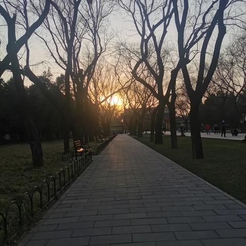 北京夕阳红旅行社旅游报价更新