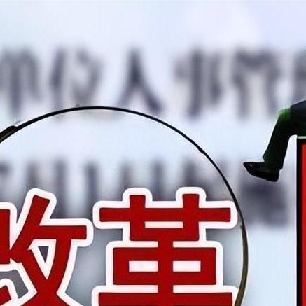 河南事业单位车补更新动态，最新消息解读
